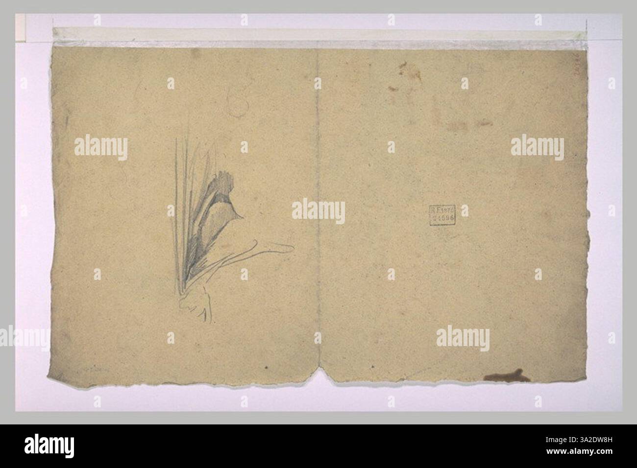 The study focuses on the folds and textures of drapery, capturing the ...