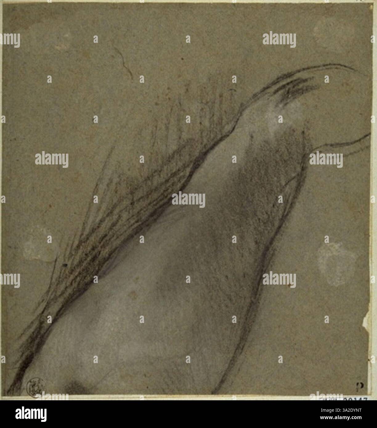 Detailed study of a forearm, highlighting anatomical structure and ...