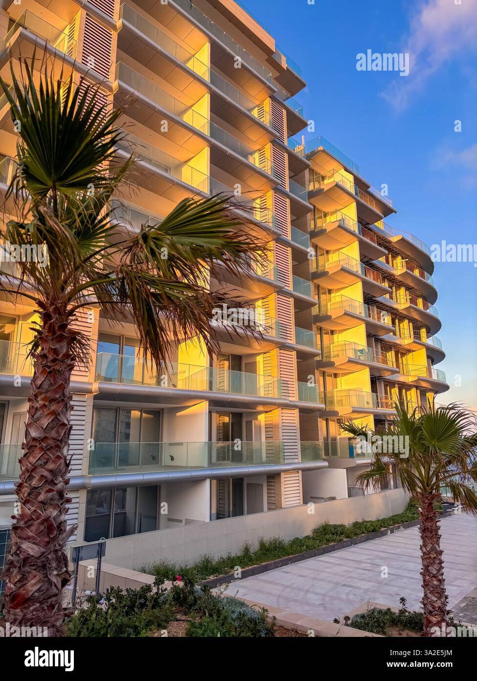 Tall palm trees create hi-res stock photography and images - Alamy