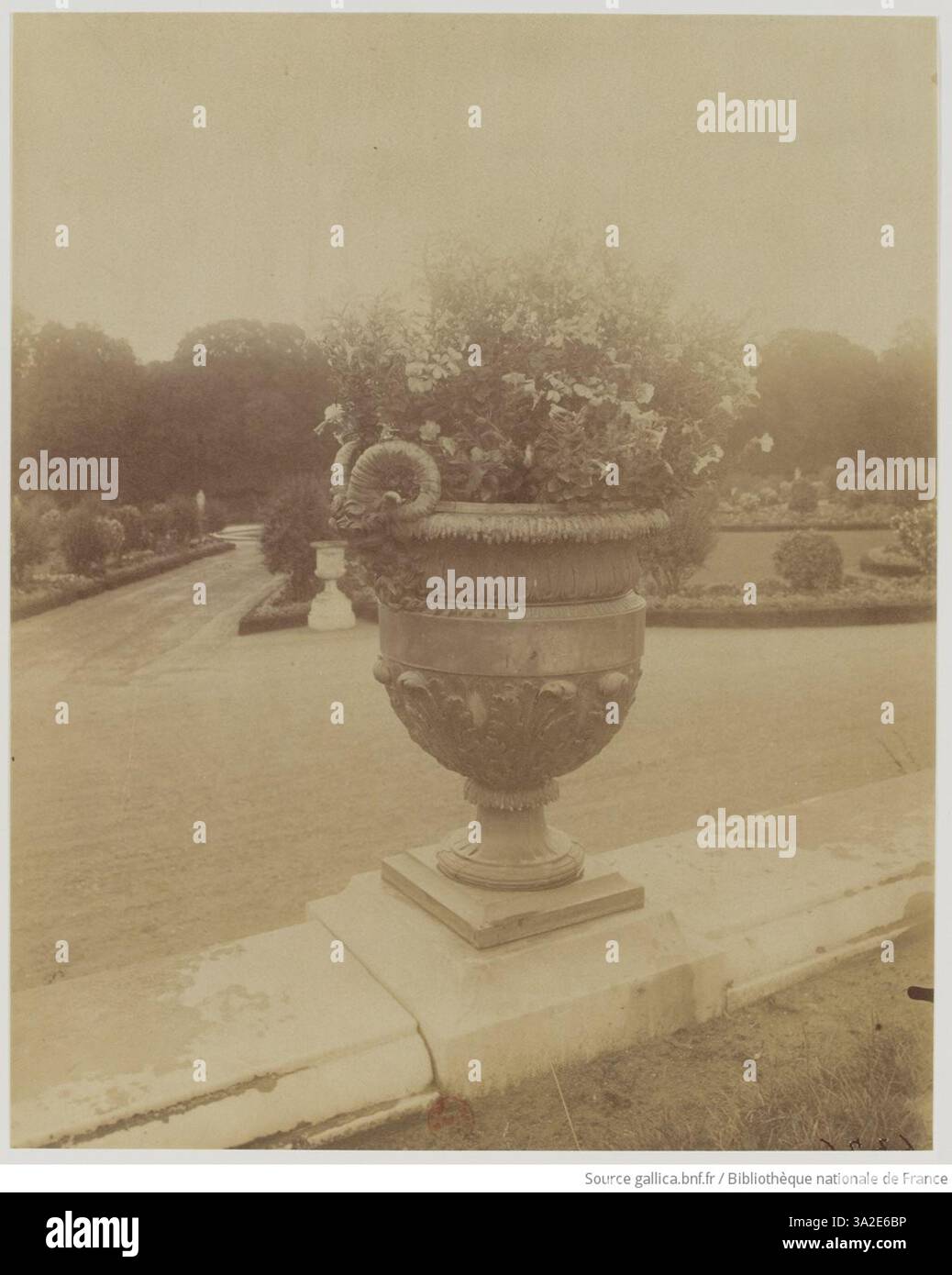 25 Unique Vase Decoration Ideas for Every Style and Season