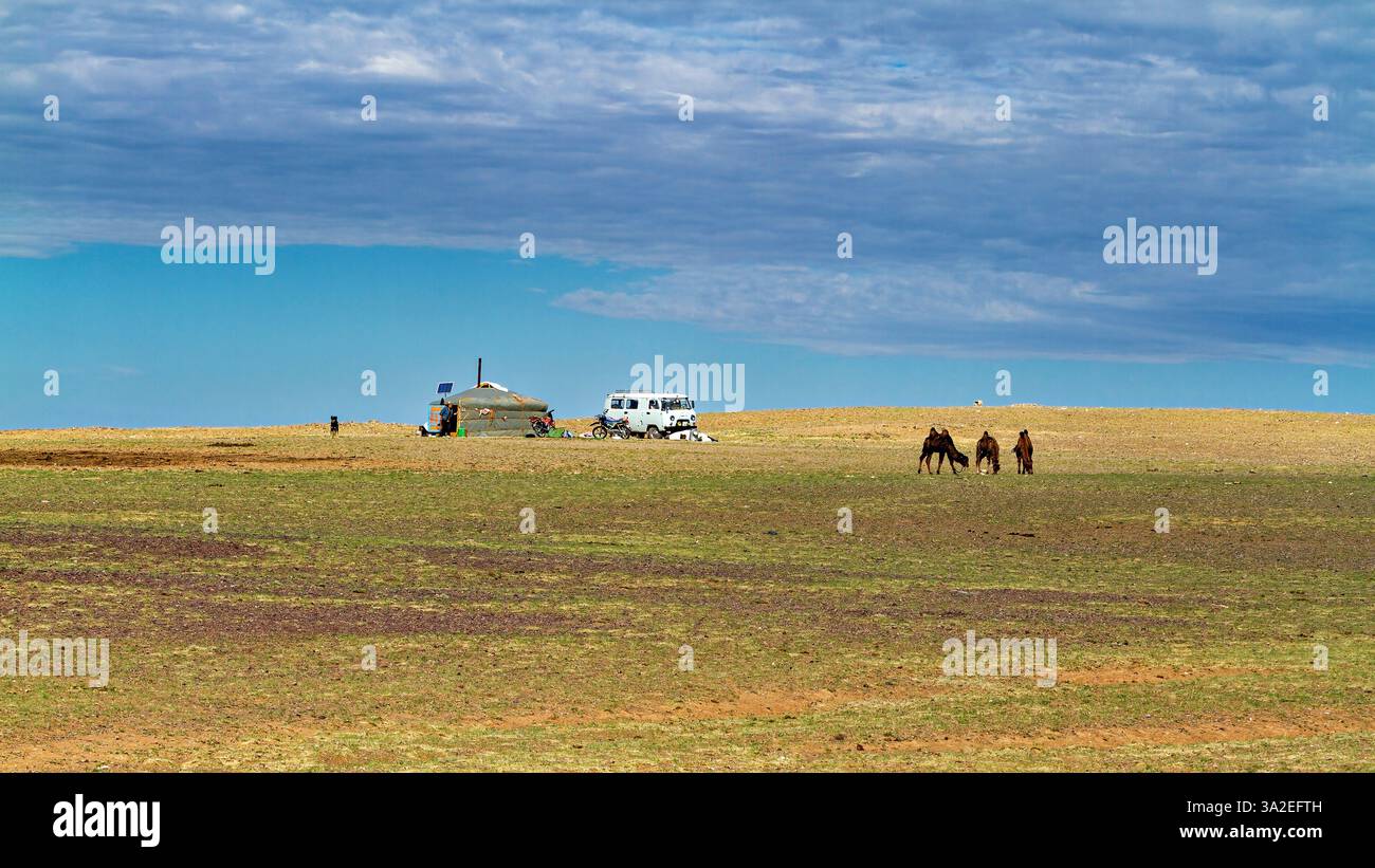 Mongolian Yurt and Camp of nomadic people Stock Photo - Alamy
