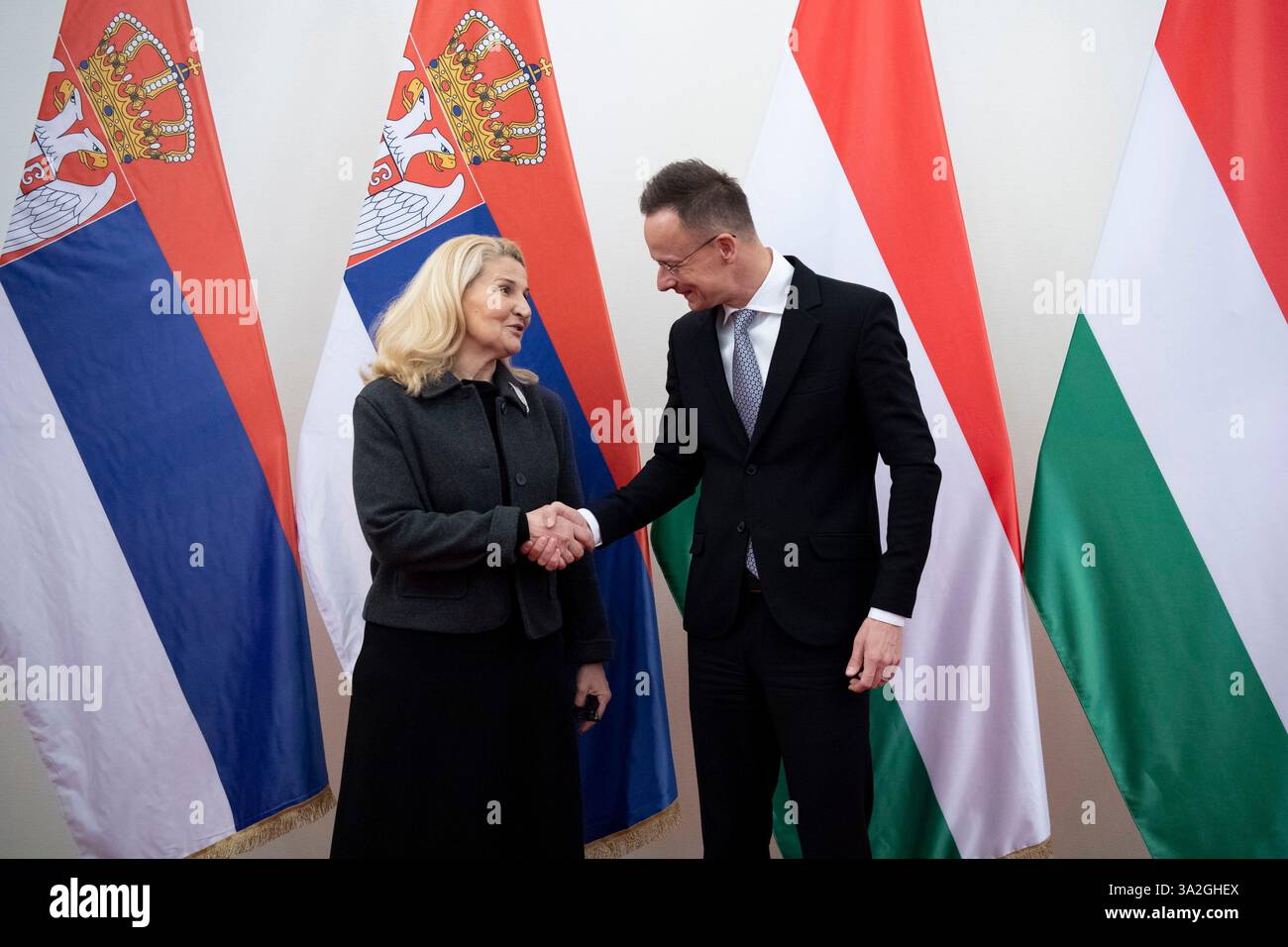 Hungarian Minister of Foreign Affairs and Trade Peter Szijjarto, right, Serbian