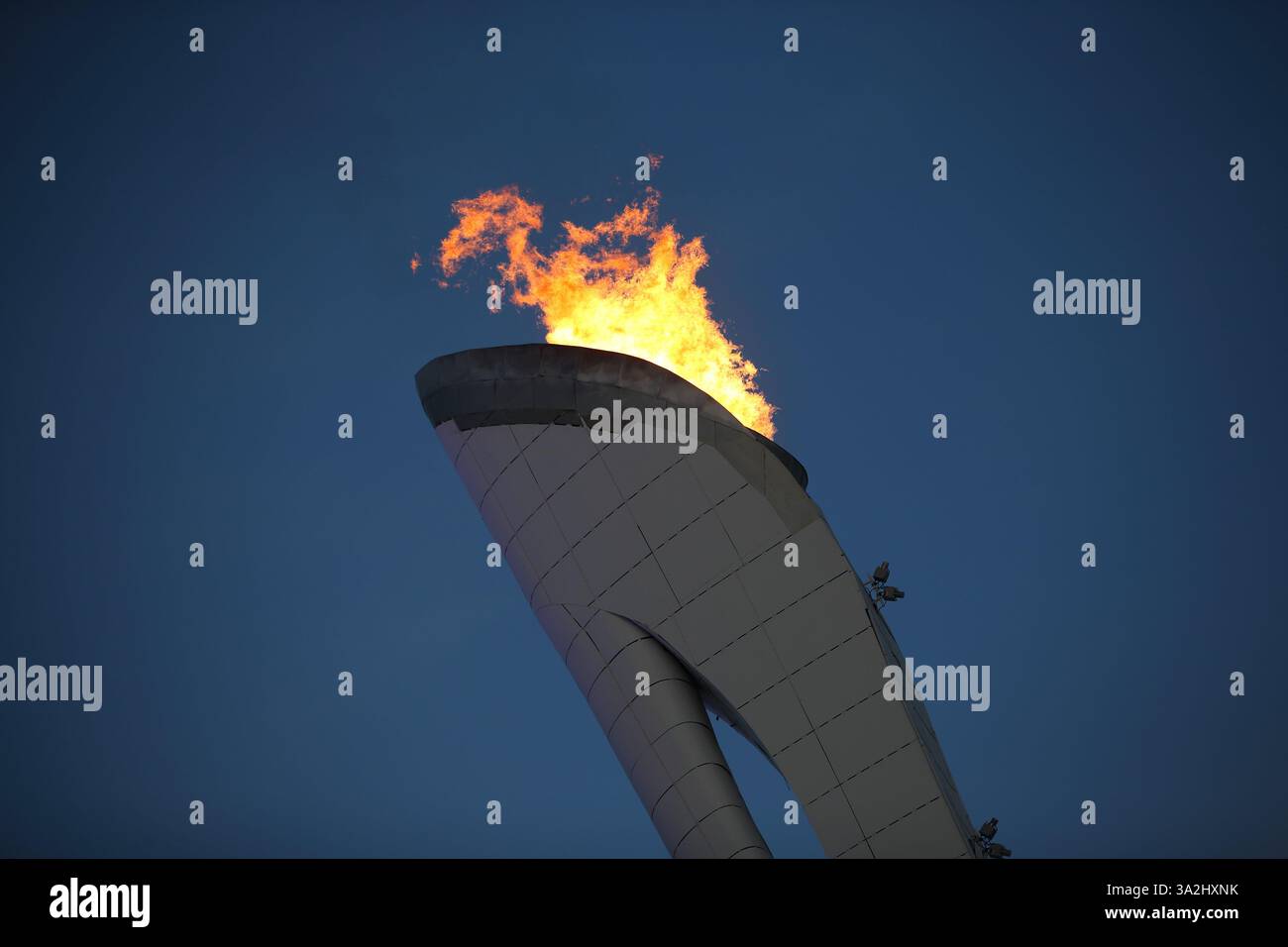 The 22nd Winter Olympics, February 7-23, 2014 are being held in the Sochi  region of the Russian Federation. XXII Olympic Winter Games with 88  nations, 2850 athletes participating in 98 events in, image size:1300x956