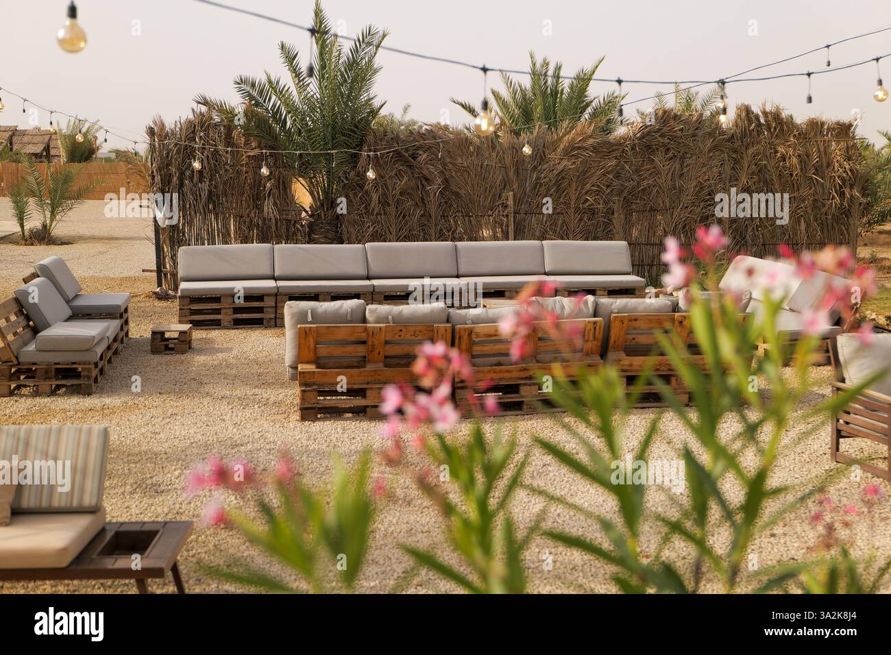 Outdoor lounge in a palm oasis. Saudi Arabia Stock Photo - Alamy
