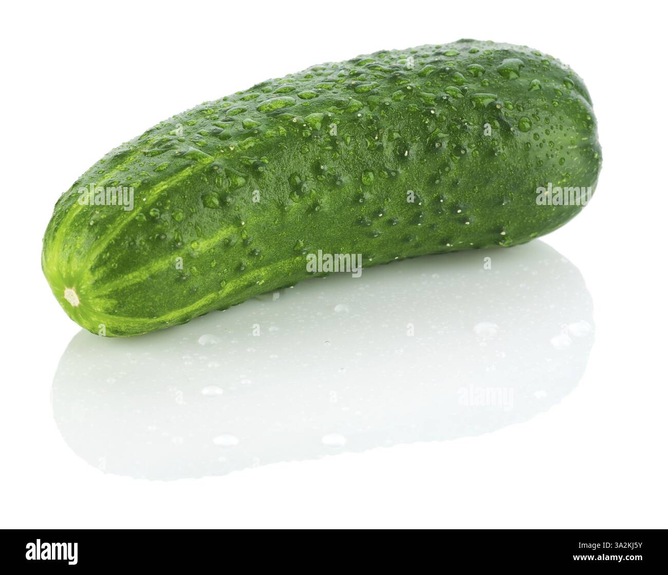 Close up single vibrant Cut Out Stock Images Pictures Alamy