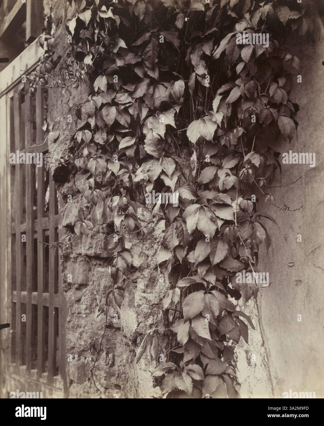 Texture vintage vierge hi-res stock photography and images - Alamy