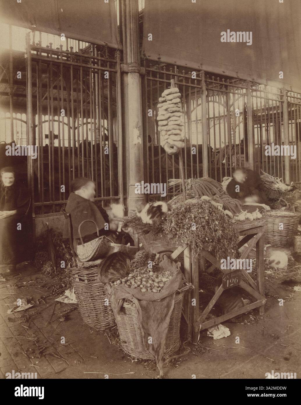 Paris market 19th century hi-res stock photography and images - Alamy