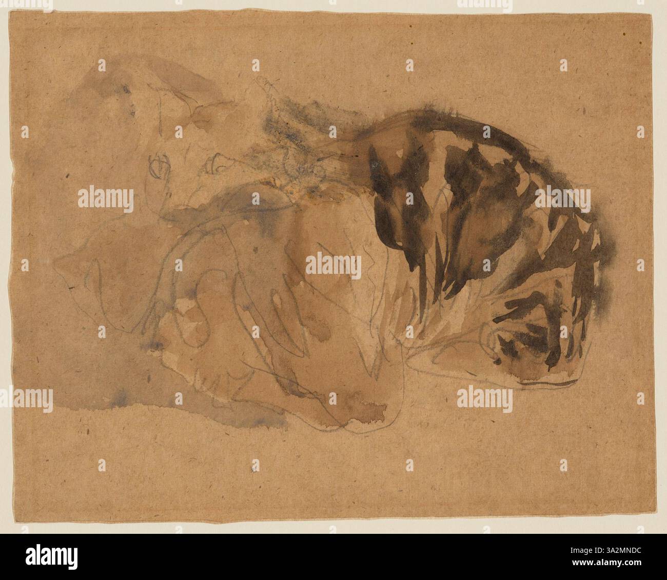 View of This painting by Gwen John features two tortoiseshell cats, their ...