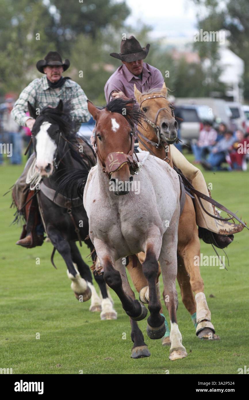 Bronc saddle handle hi-res stock photography and images - Alamy