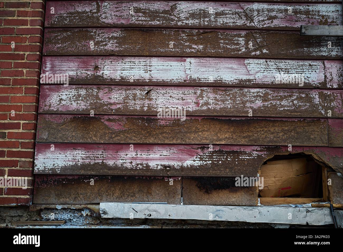 Weathered exterior wall showing textured layers of peeling pink and white paint beside aged red bricks, with a hole revealing cardboard insulation. Stock Photo