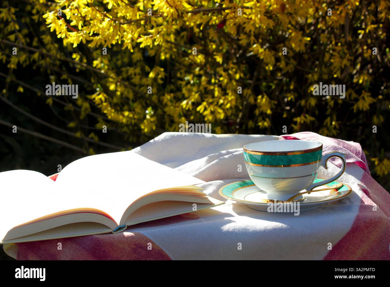 in the background a splendid plant with yellow flowers hit by the sun in the foreground an antique table with a book and a splendid vintage herbal tea Stock Photo