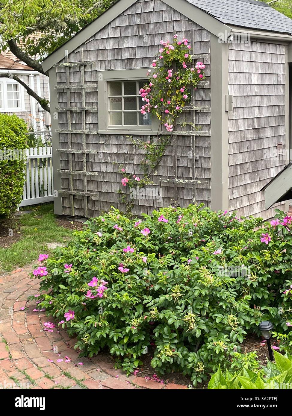 A small garden grows in front of a gray cedar shingled cottage on a summer day Stock Photo