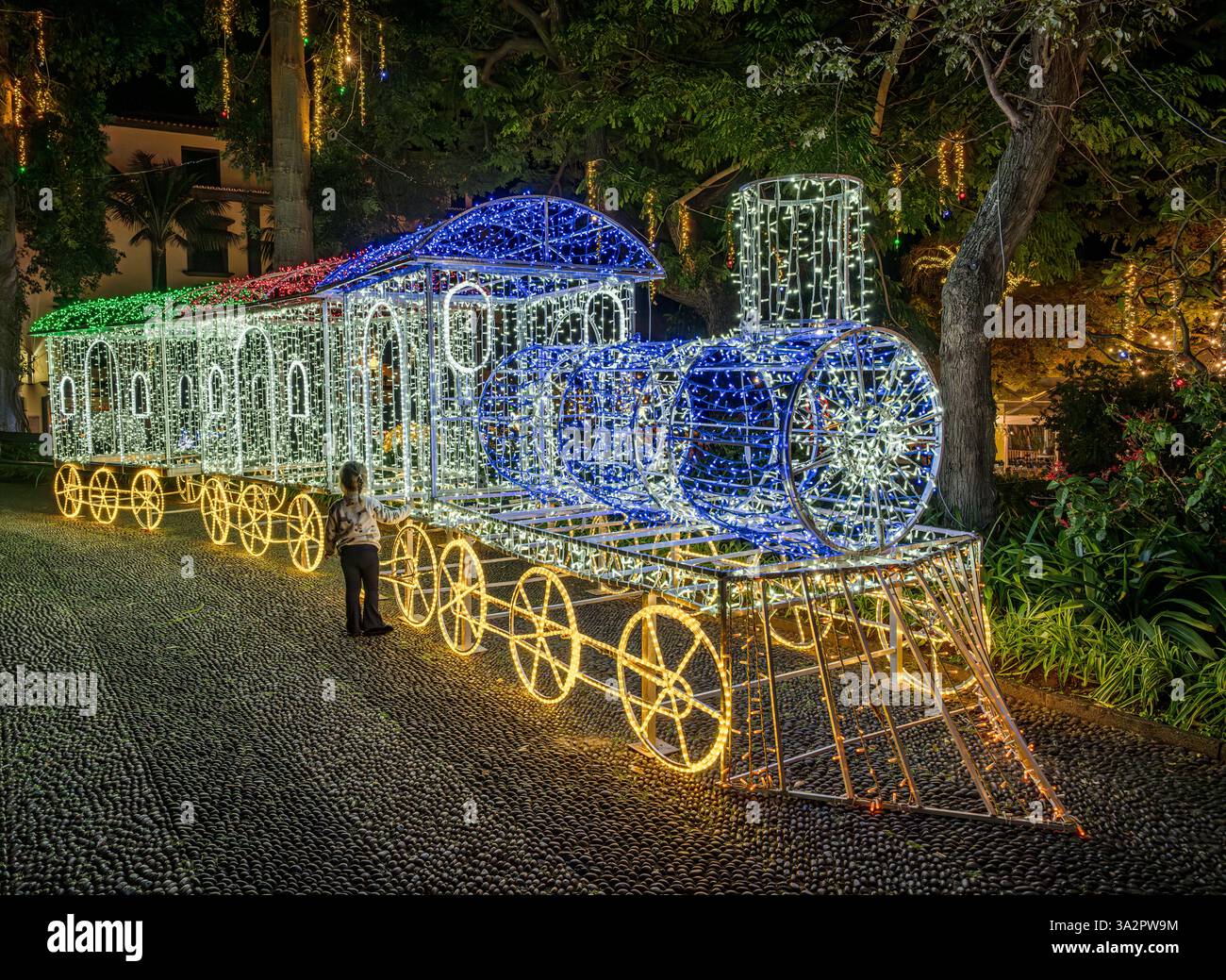 christmas-lights-municipal-gardens-funchal-madeira-stock-photo-alamy