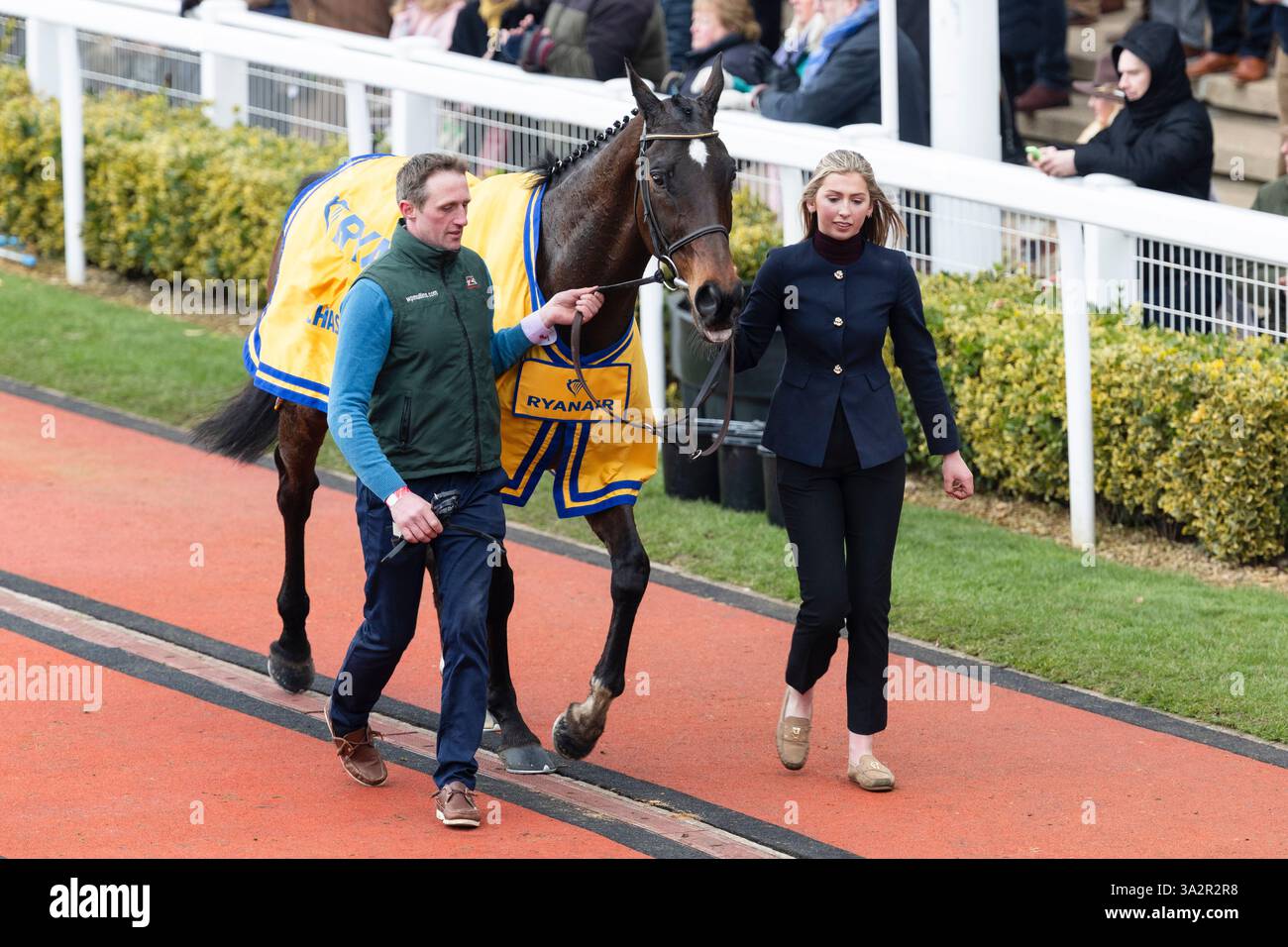 Historical Context: The Ladies Perpetual Cup and the Evolution of Irish Jump Racing
