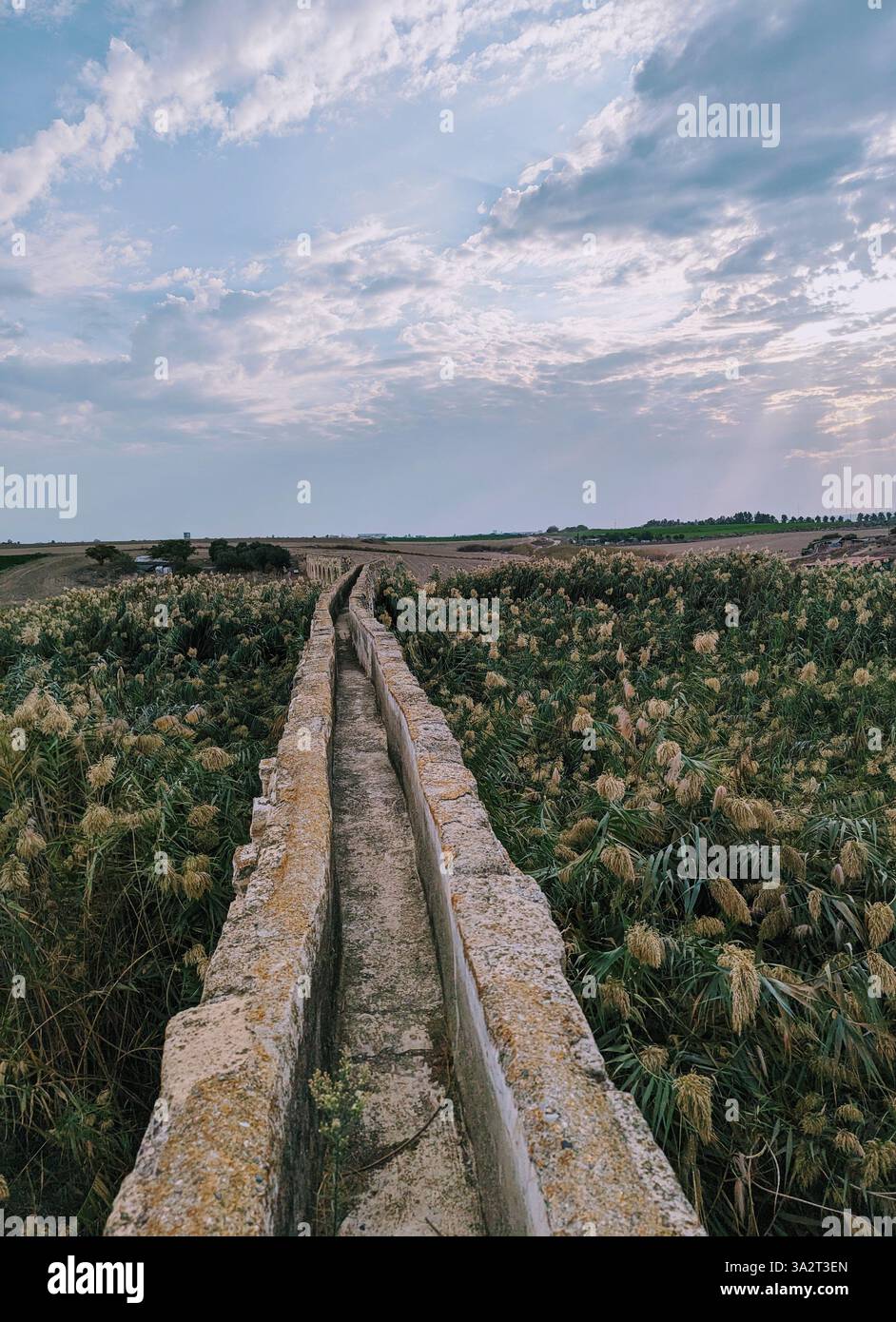 Ancient aqueduct cutting through the landscape in Larnaca, Cyprus, framed by tall reeds and a dramatic sky. - Smartphone Captured Stock Image