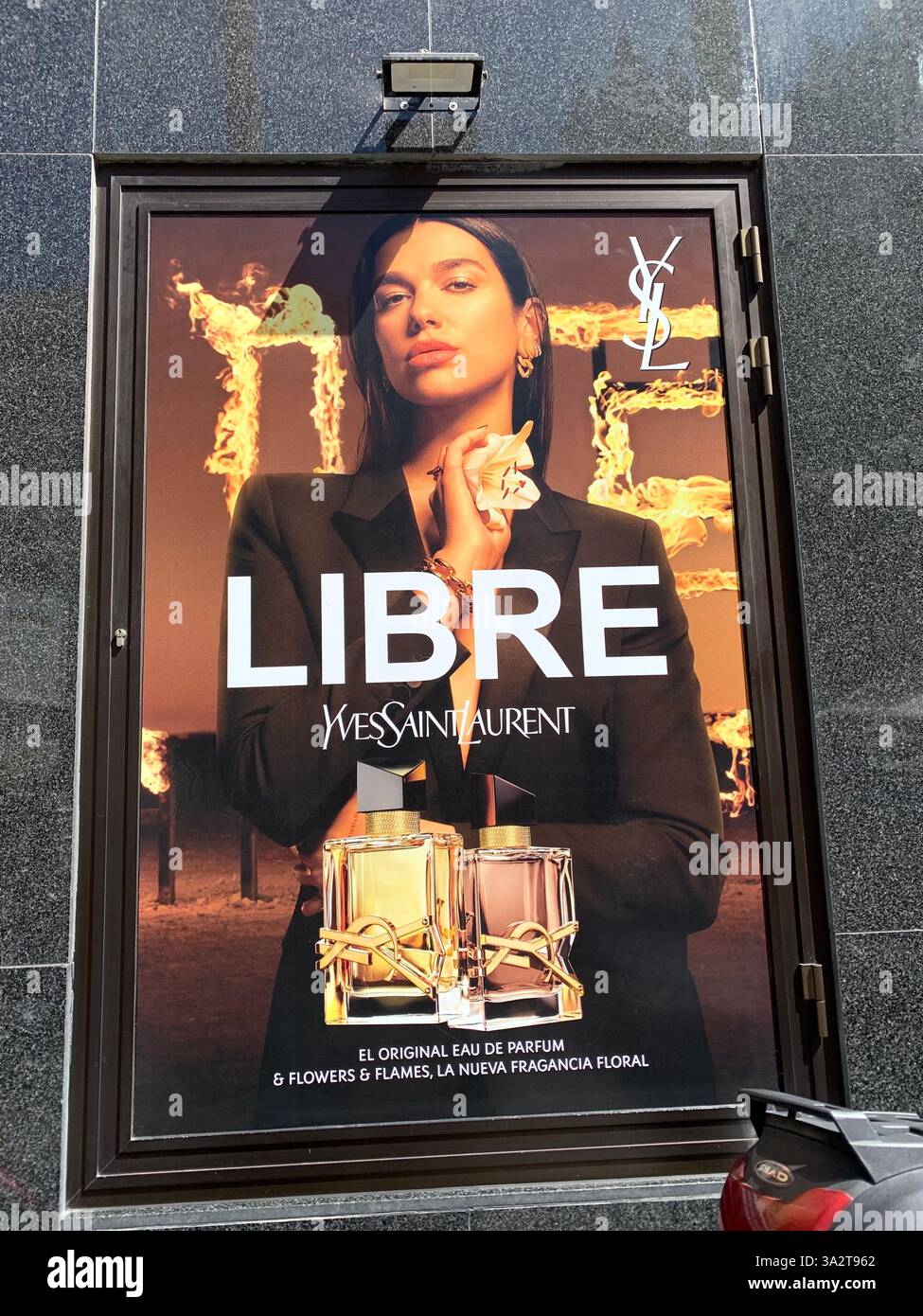 Tenerife Carnival Canary Islands Spain weather hot sunny people happy friendly drink drinking style type tourism tourists restaurant food eating out - Smartphone Captured Stock Image