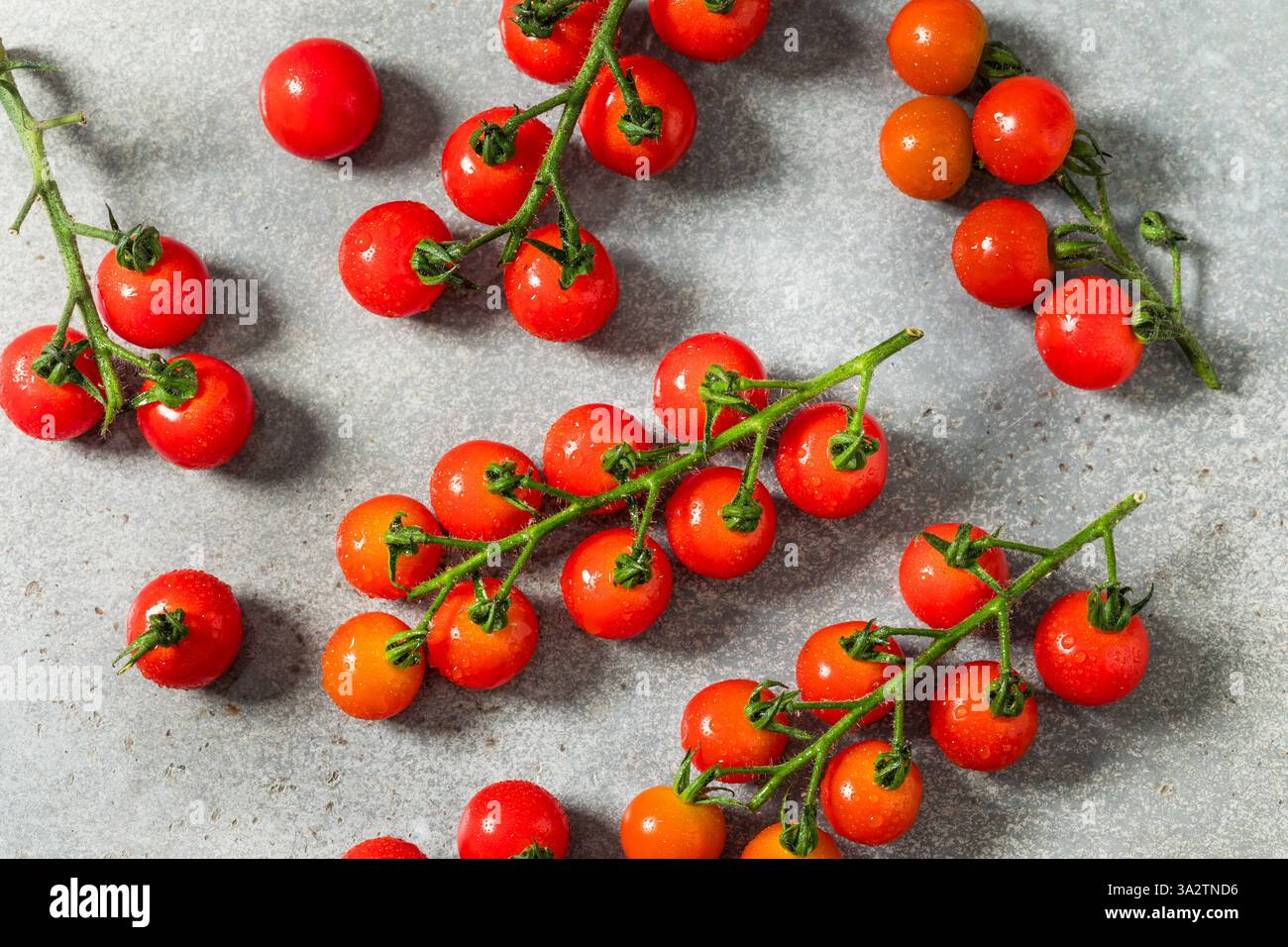 Organic Raw Red Cherry Tomatoes on the Vine Stock Photo