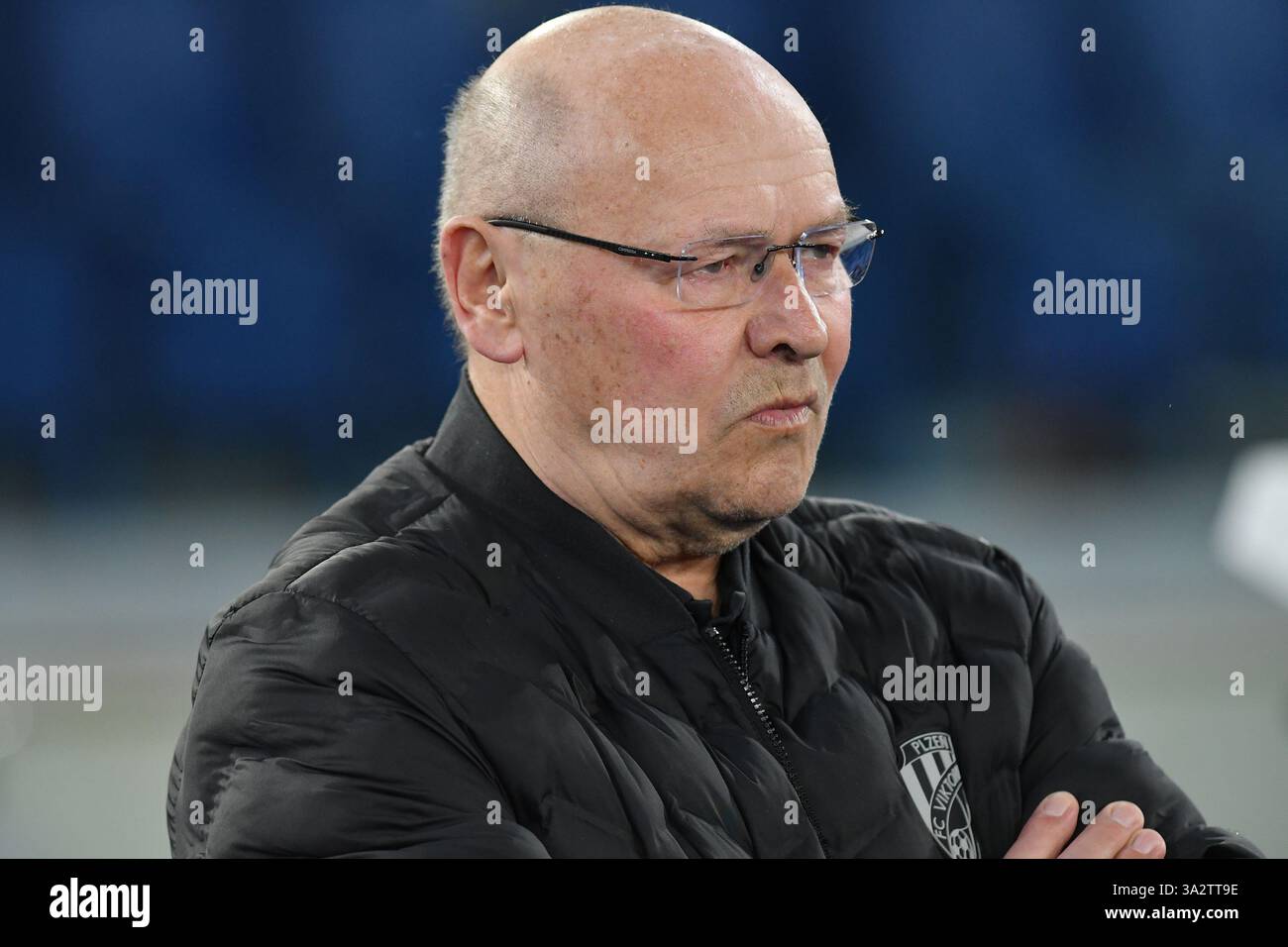 Koubek The Impact of the 'Giant's' Decline
