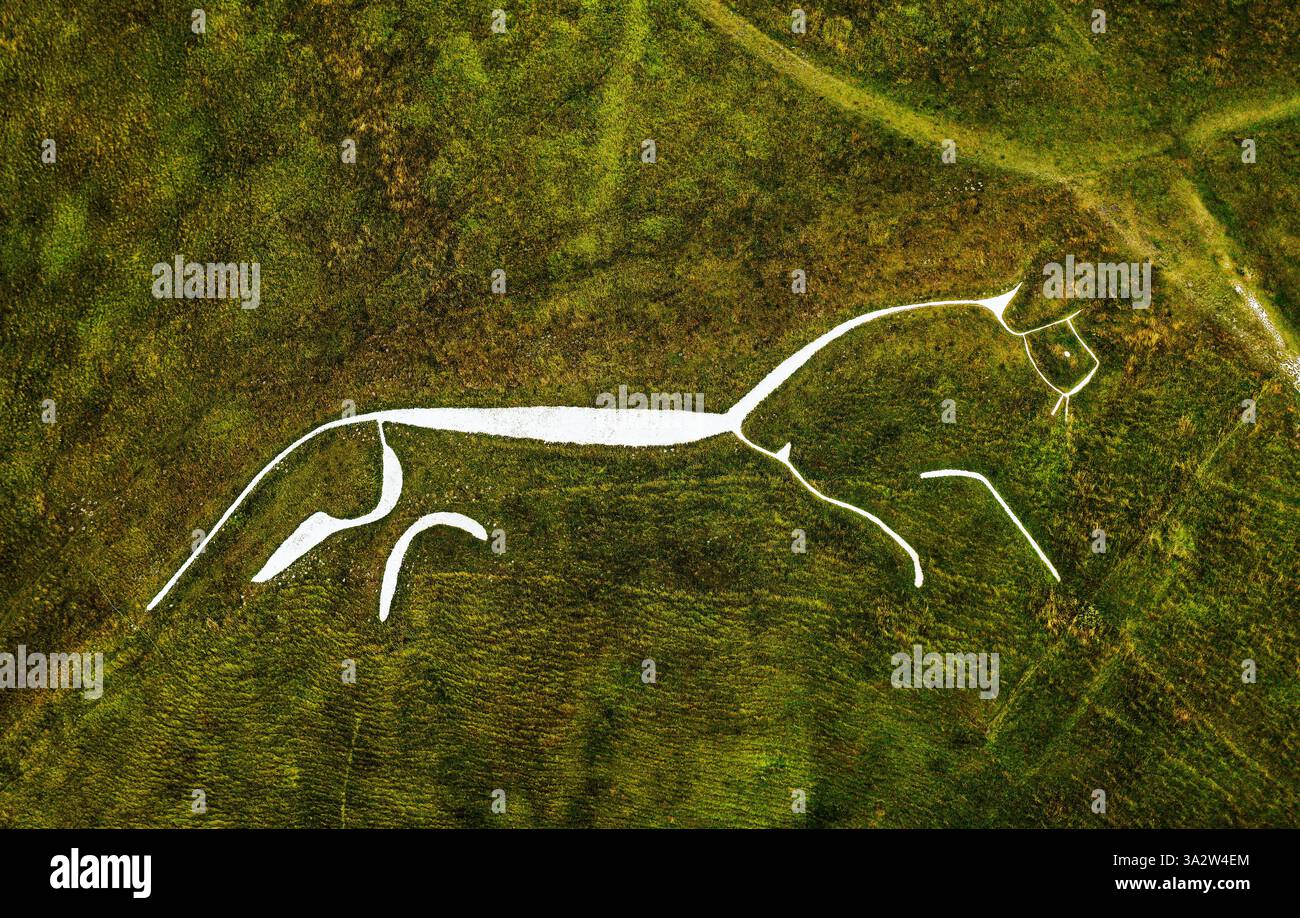 Uffington White Horse. 3500 year prehistoric chalk figure carved into a chalk hillside of the Berkshire Downs, England. 110 meters long Stock Photo