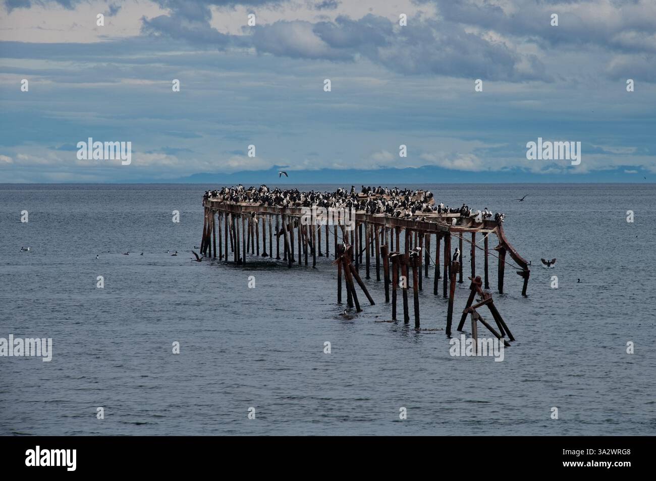 Old, weathered pier extending into a body of water, covered with a ...