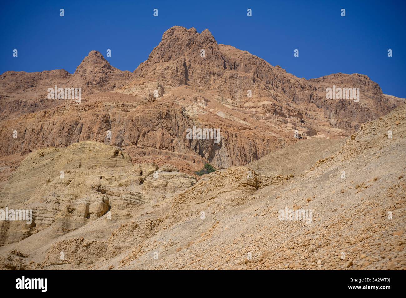 Hiking in Wadi Arugot Ein Gedi national park, Dead Sea. Israel Stock Photo