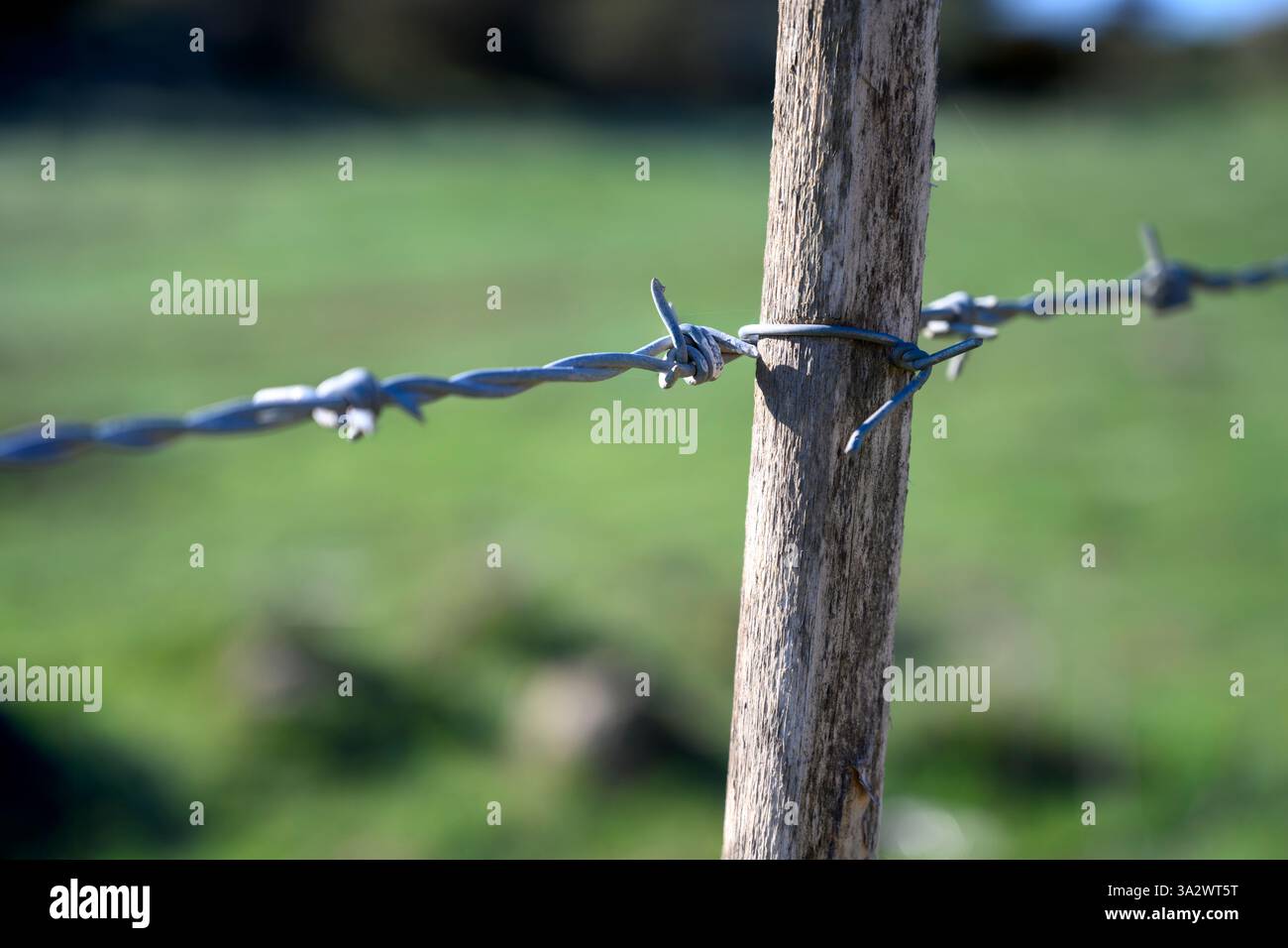 wooden fence post and barbed wire on sunny day. Stock Photo