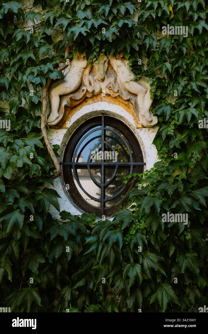 Round iron-barred window framed by ivy-covered ornate architecture Stock Photo
