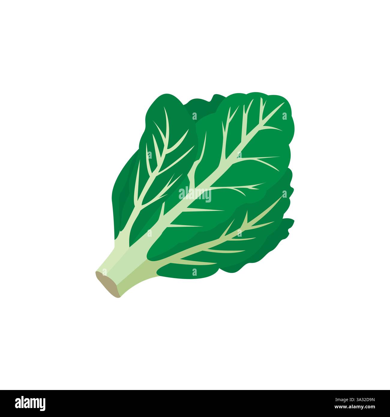 bok choi leafy green vegetable romaine lettuce salad cabbage emoji ...