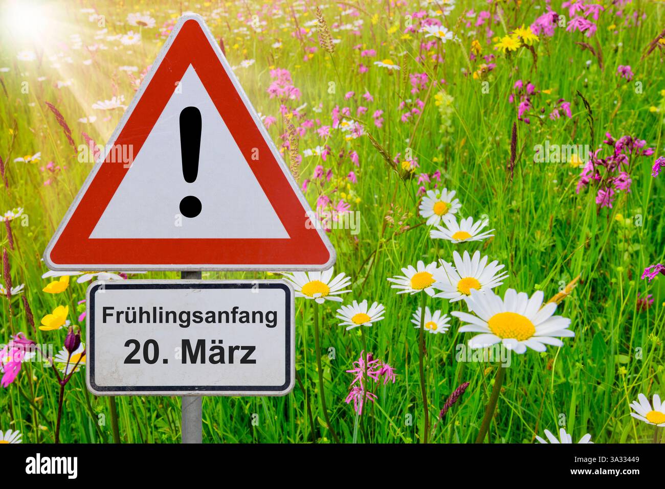 Blumen Fr Mrz