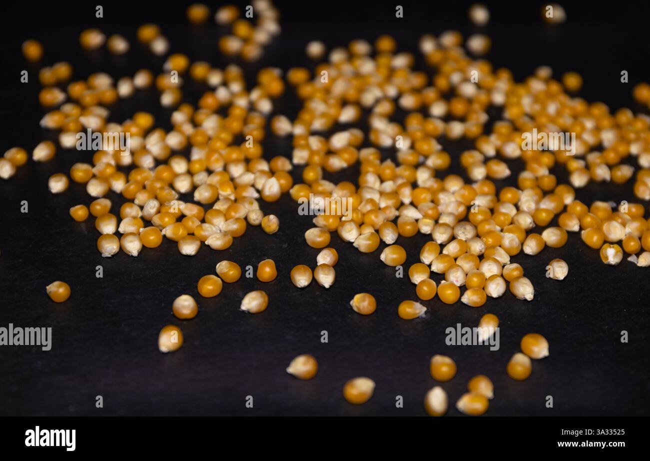 dry corn kernels. natural agricultural crop Stock Photo