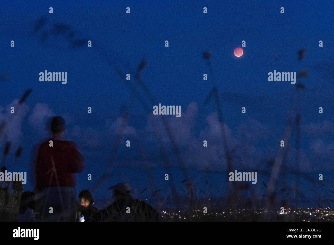 (250314) AUCKLAND, March 14, 2025 (Xinhua) The moon is seen during a lunar eclipse in