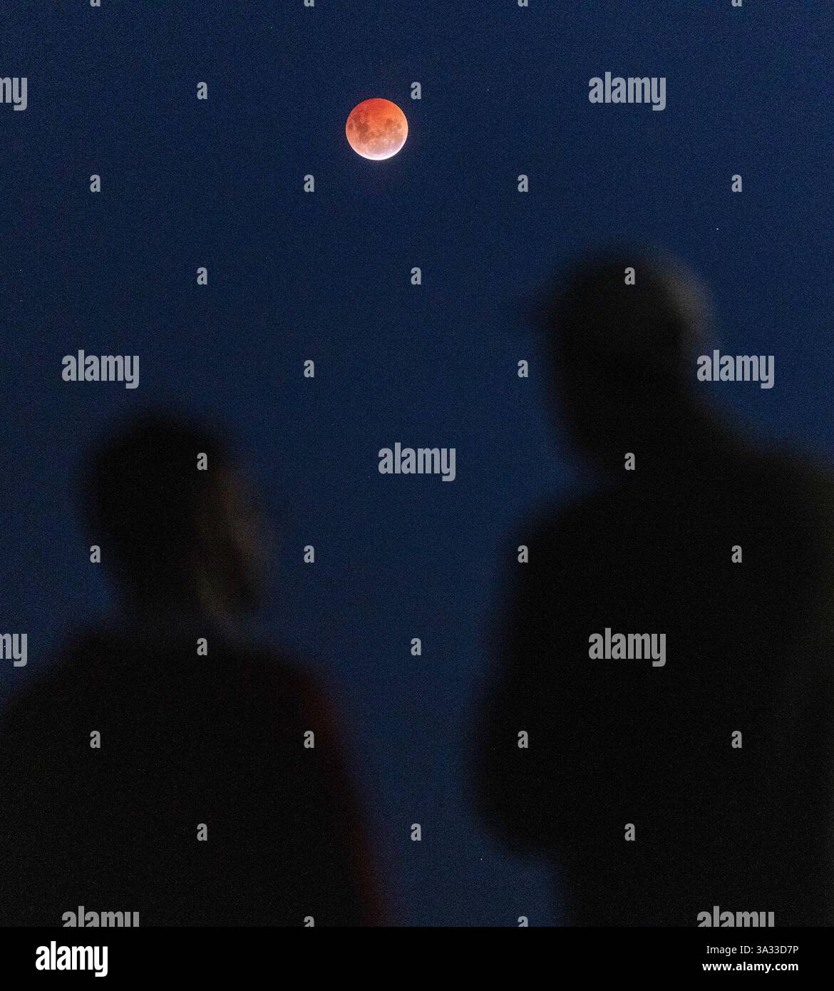 (250314) AUCKLAND, March 14, 2025 (Xinhua) The moon is seen during a lunar eclipse in