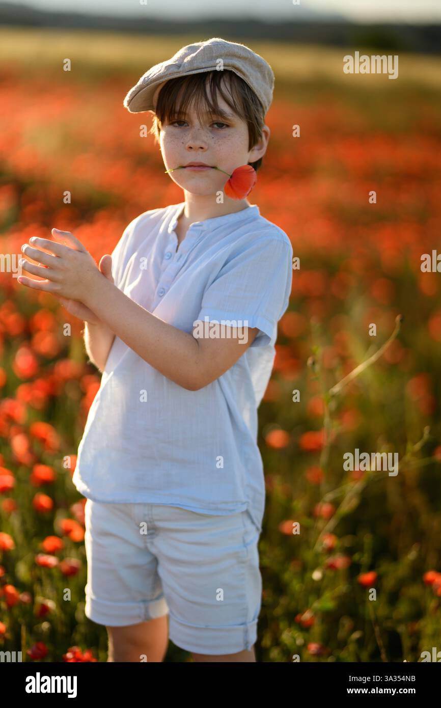 Boy with freckles hi-res stock photography and images - Alamy