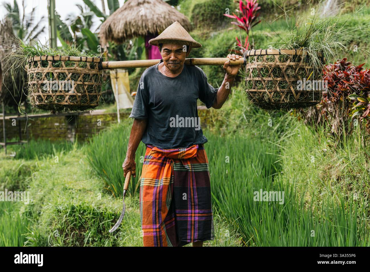 Mature male farmer carries hi-res stock photography and images - Alamy