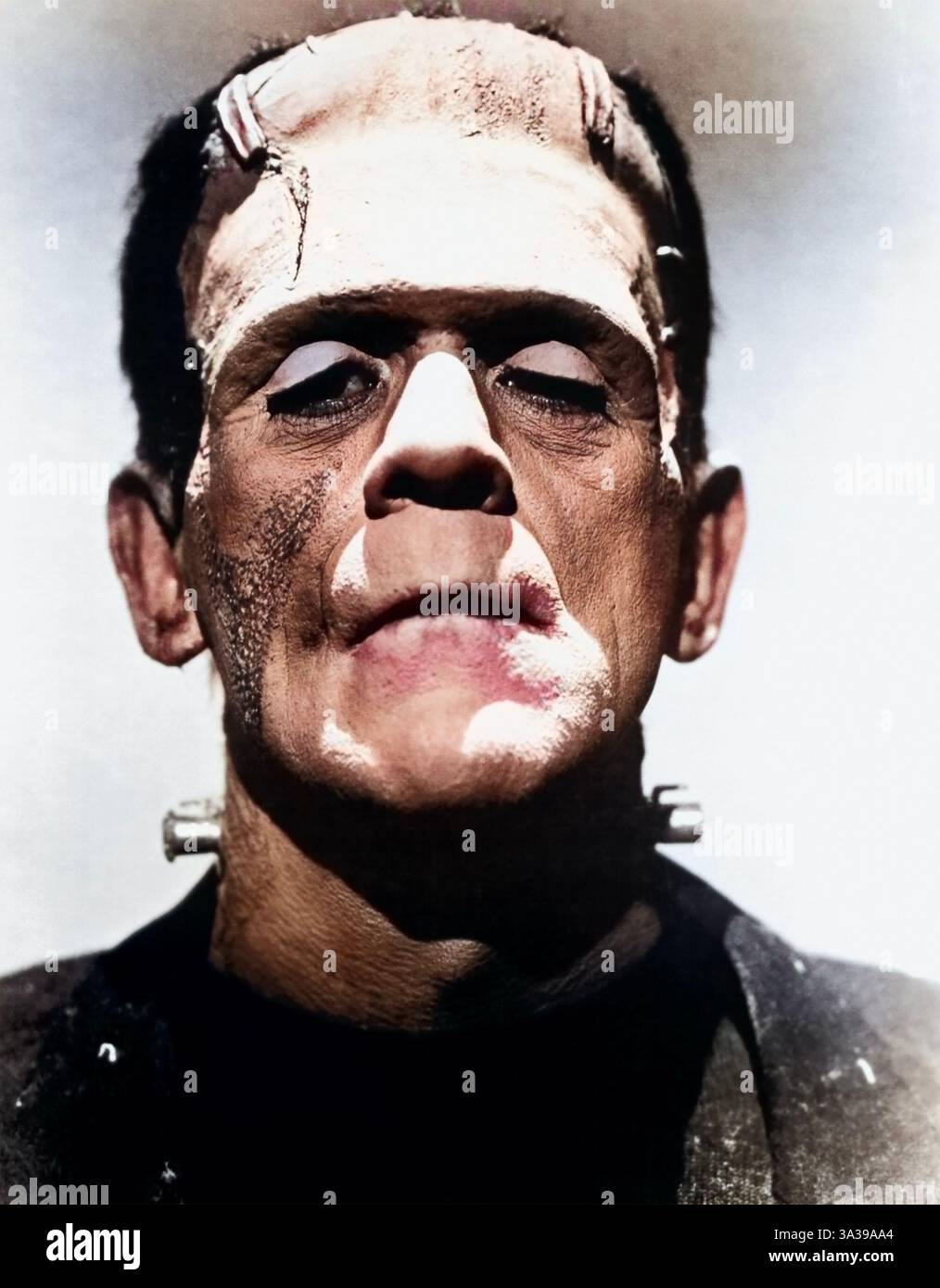 FRANKENSTEIN 1931 Universal Pictures horror film with Boris Karloff ...