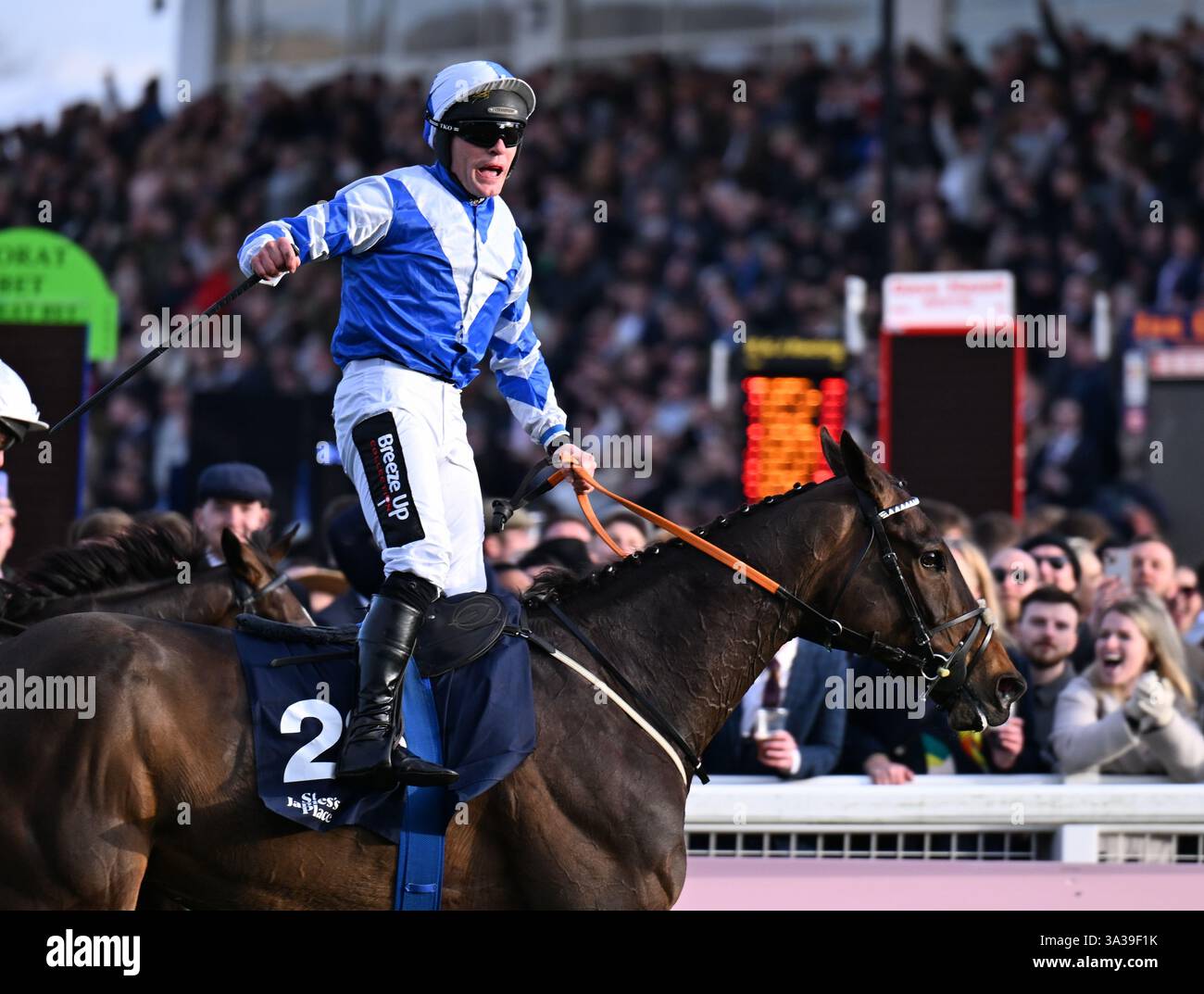 14th March 2025; Cheltenham Racecourse, Cheltenham, Gloucestershire ...