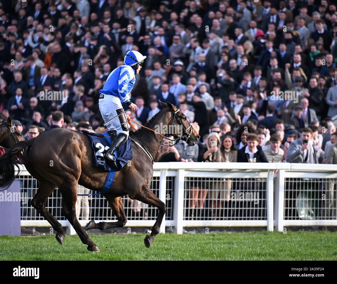 14th March 2025; Cheltenham Racecourse, Cheltenham, Gloucestershire ...