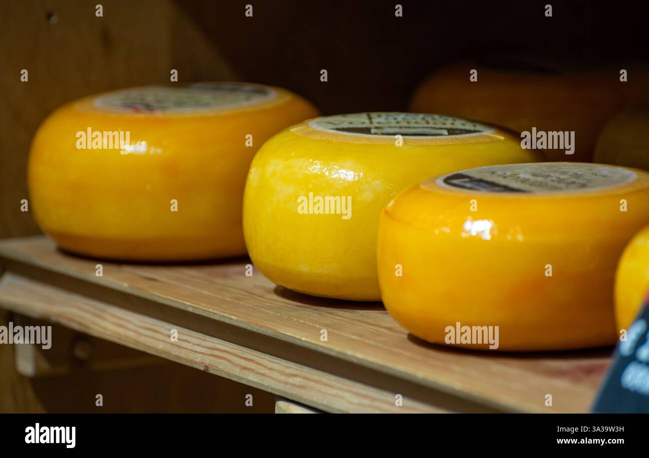 Wooden shelves with hard matured cheese from cow's milk at cheese ...