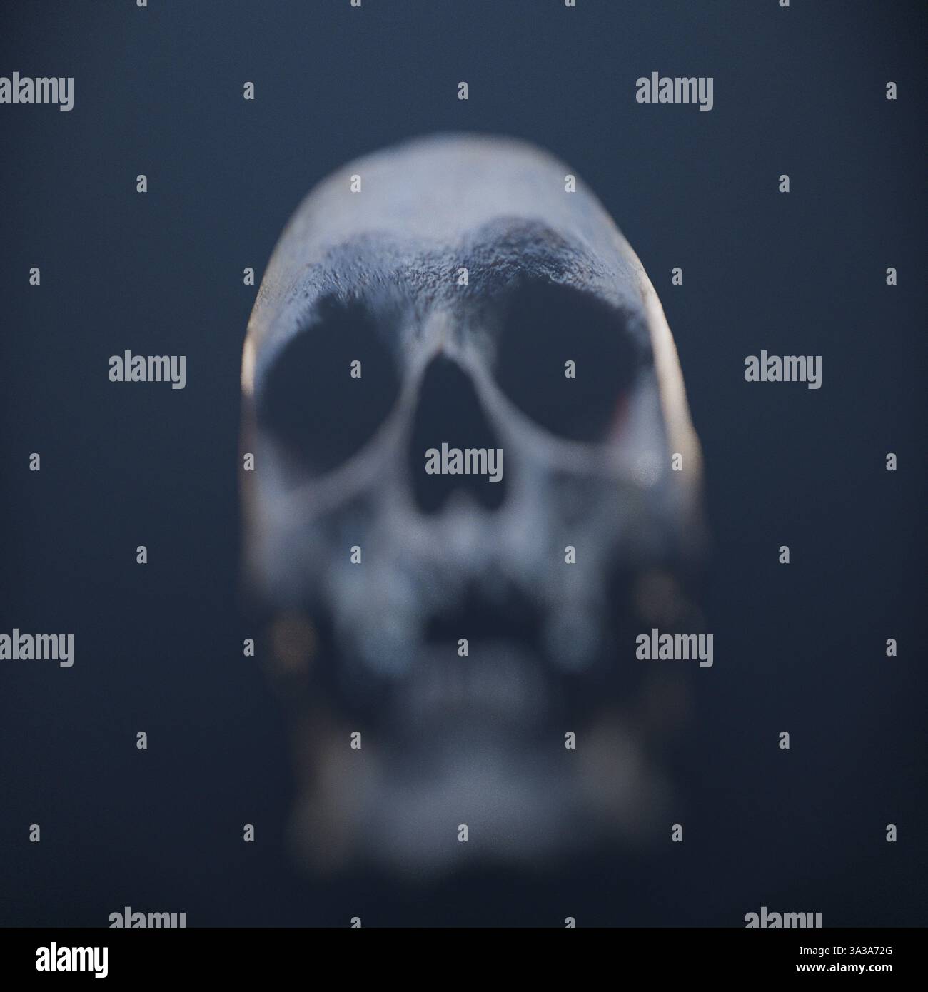 human skull in frightening distortion, optical lens effects, horror ...