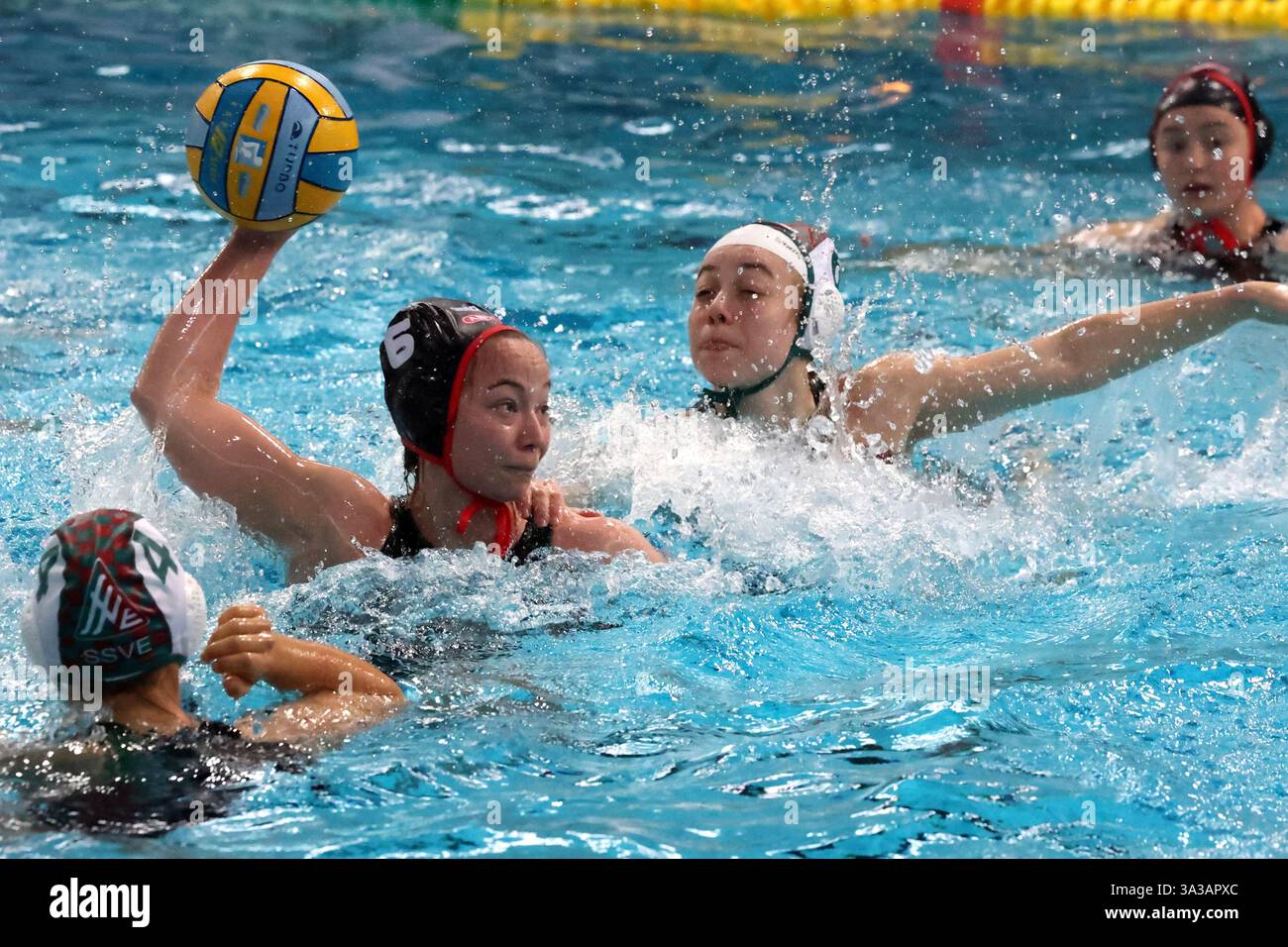 Mia foto hi-res stock photography and images - Page 3 - Alamy, image size:1300x956