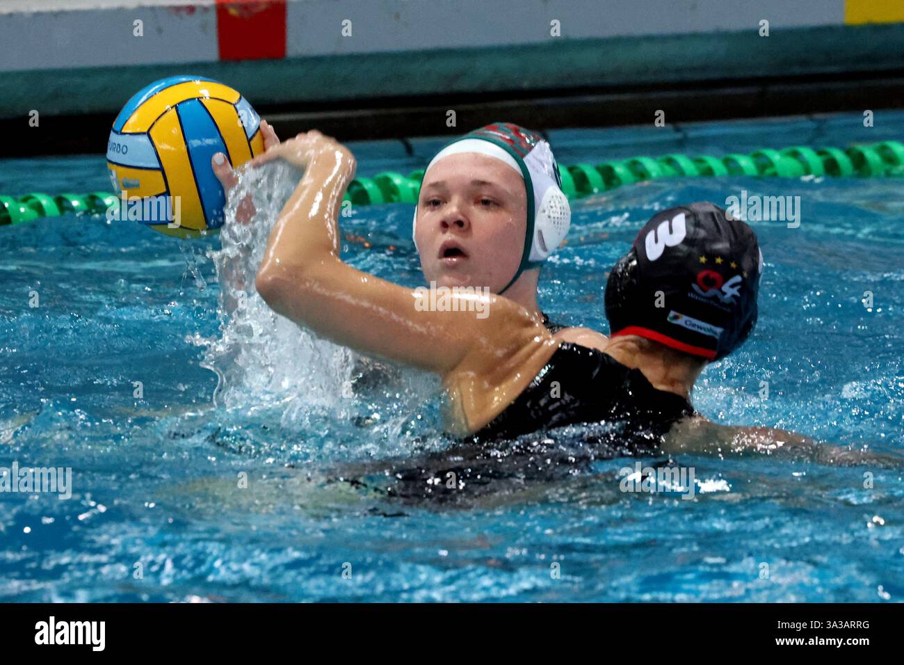 Discover Zuppardi's Apizza: A Connecticut Gem, image size:1300x956