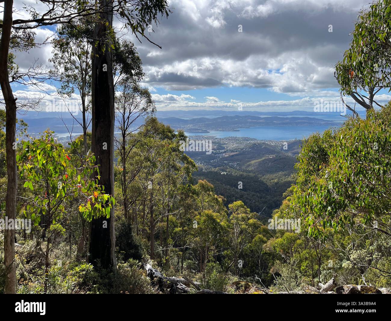 Panoramic view from the top of Mount Wellington, Hobart, Tasmania, Australia - Smartphone Captured Stock Image