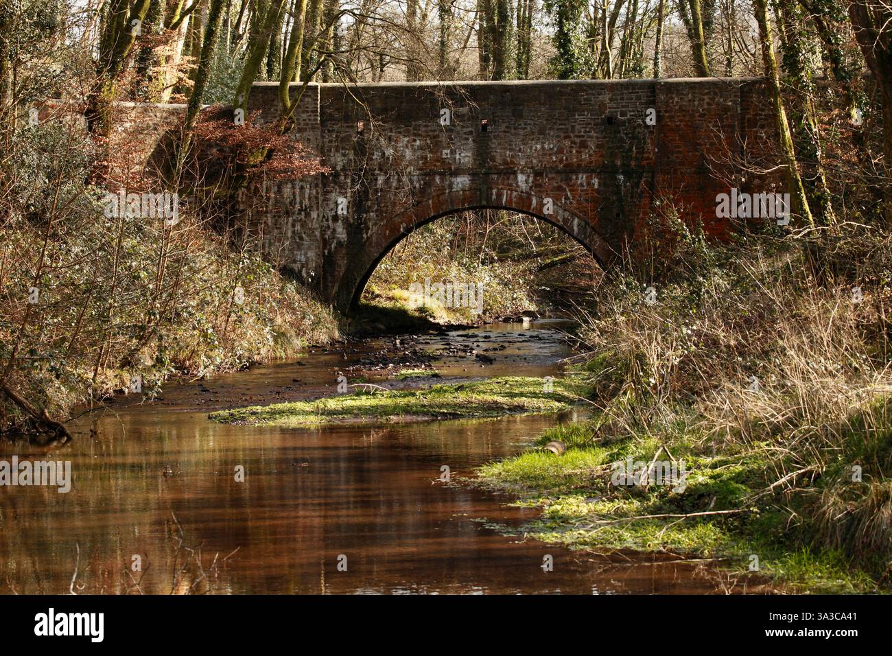 Generic Stone bridge with stream running beneath, in woodland Stock ...
