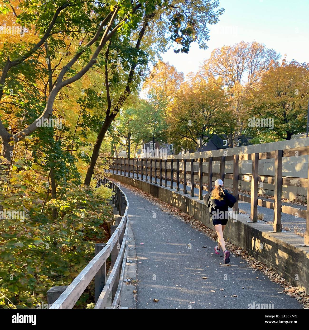 Autumn colors are on full display in Minneapolis, MN, USA. - Smartphone Captured Stock Image