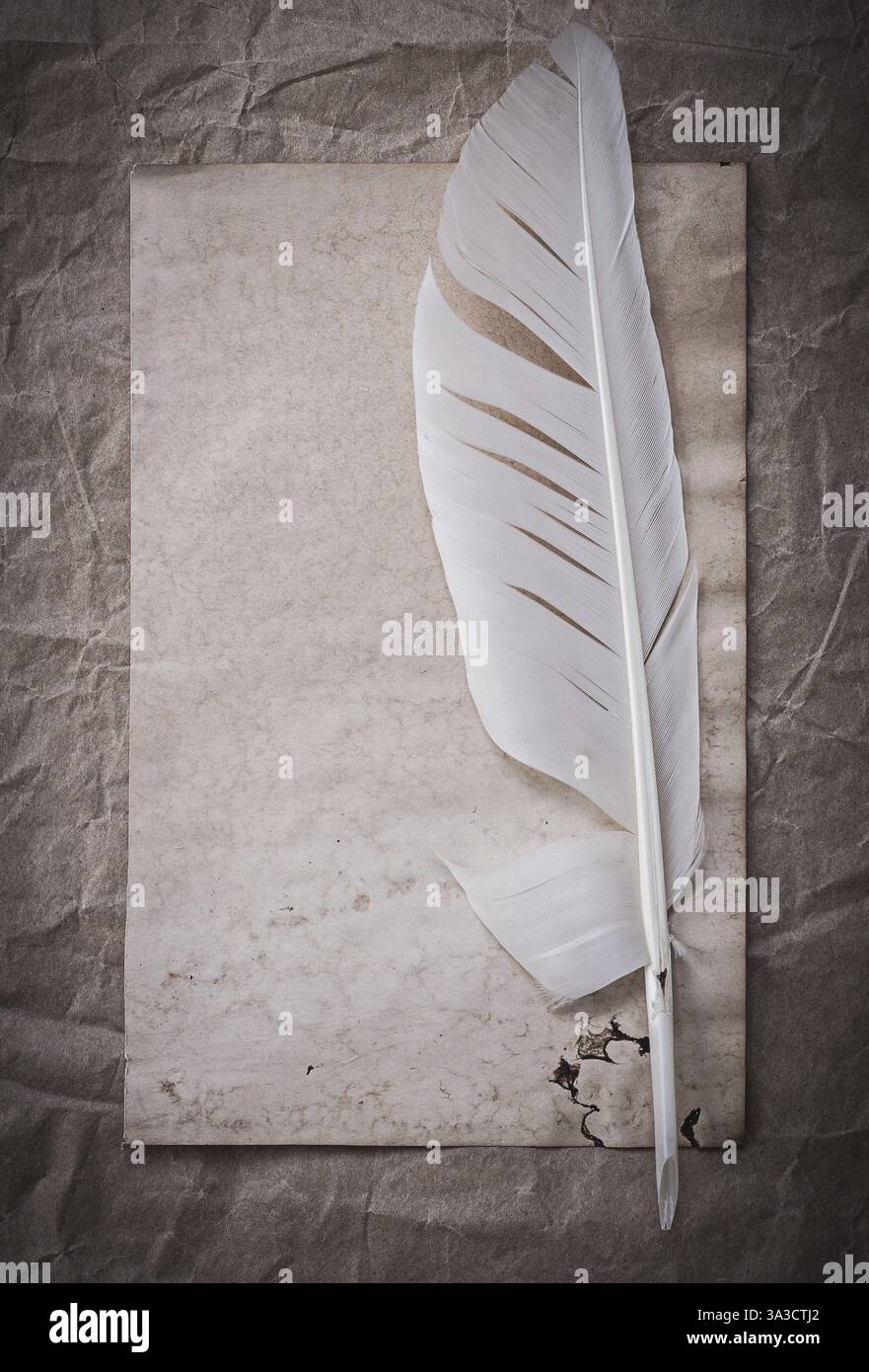 Vintage blank sheet feather on crumpled wrapping paper Stock Photo - Alamy