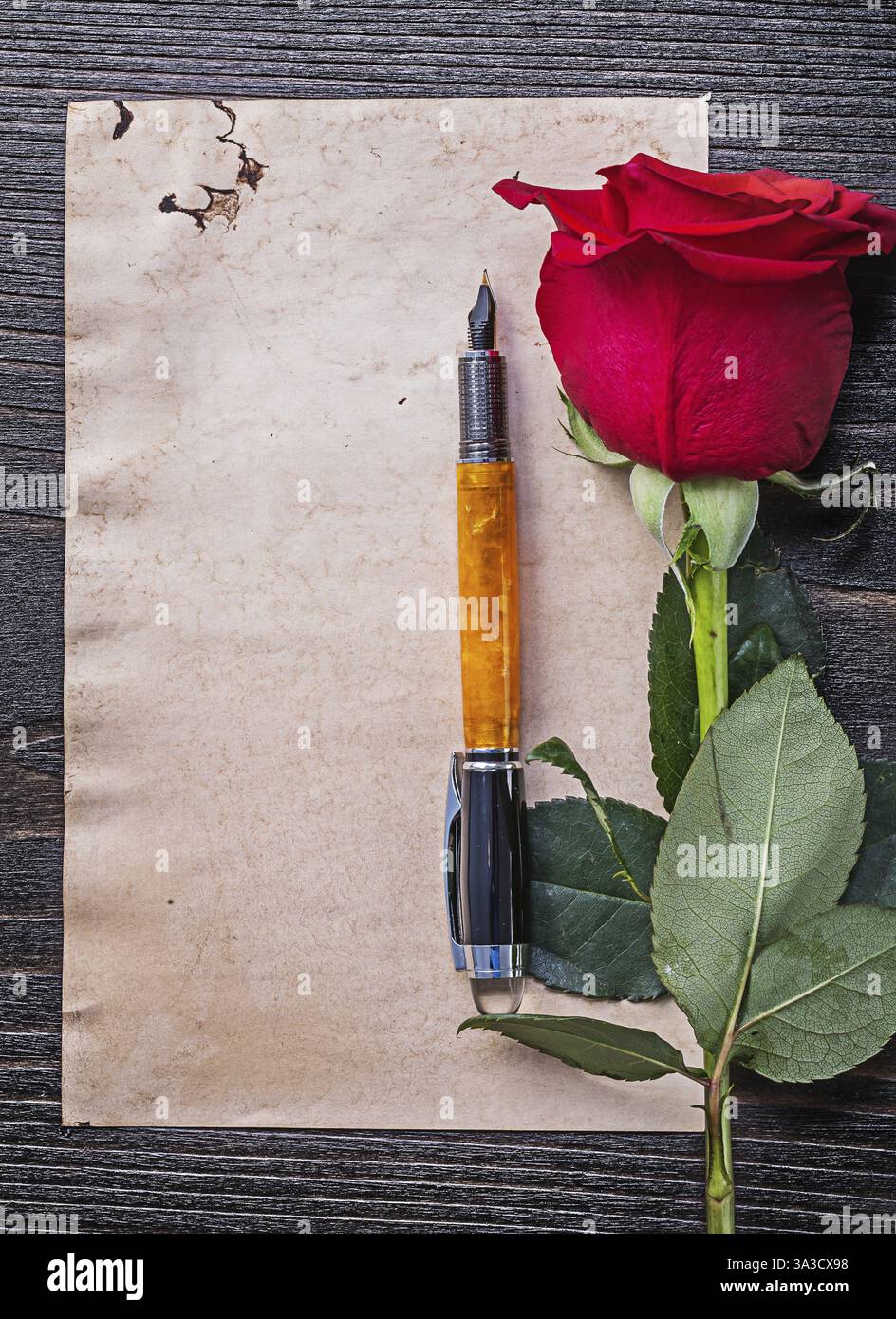 Vintage paper red expanded rose fountain pen on wooden board Stock ...
