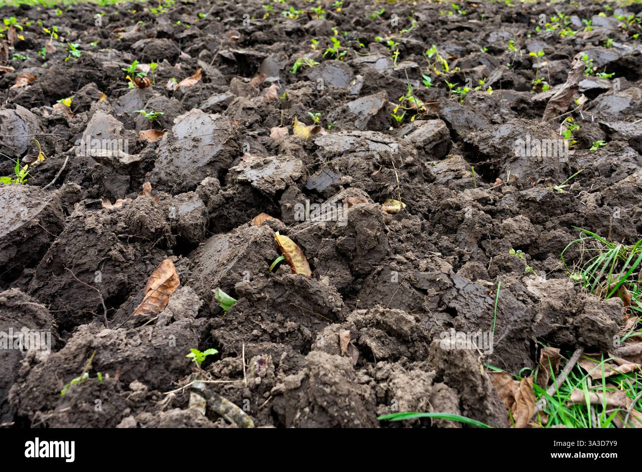 Nutrient rich soil signs hi-res stock photography and images - Alamy