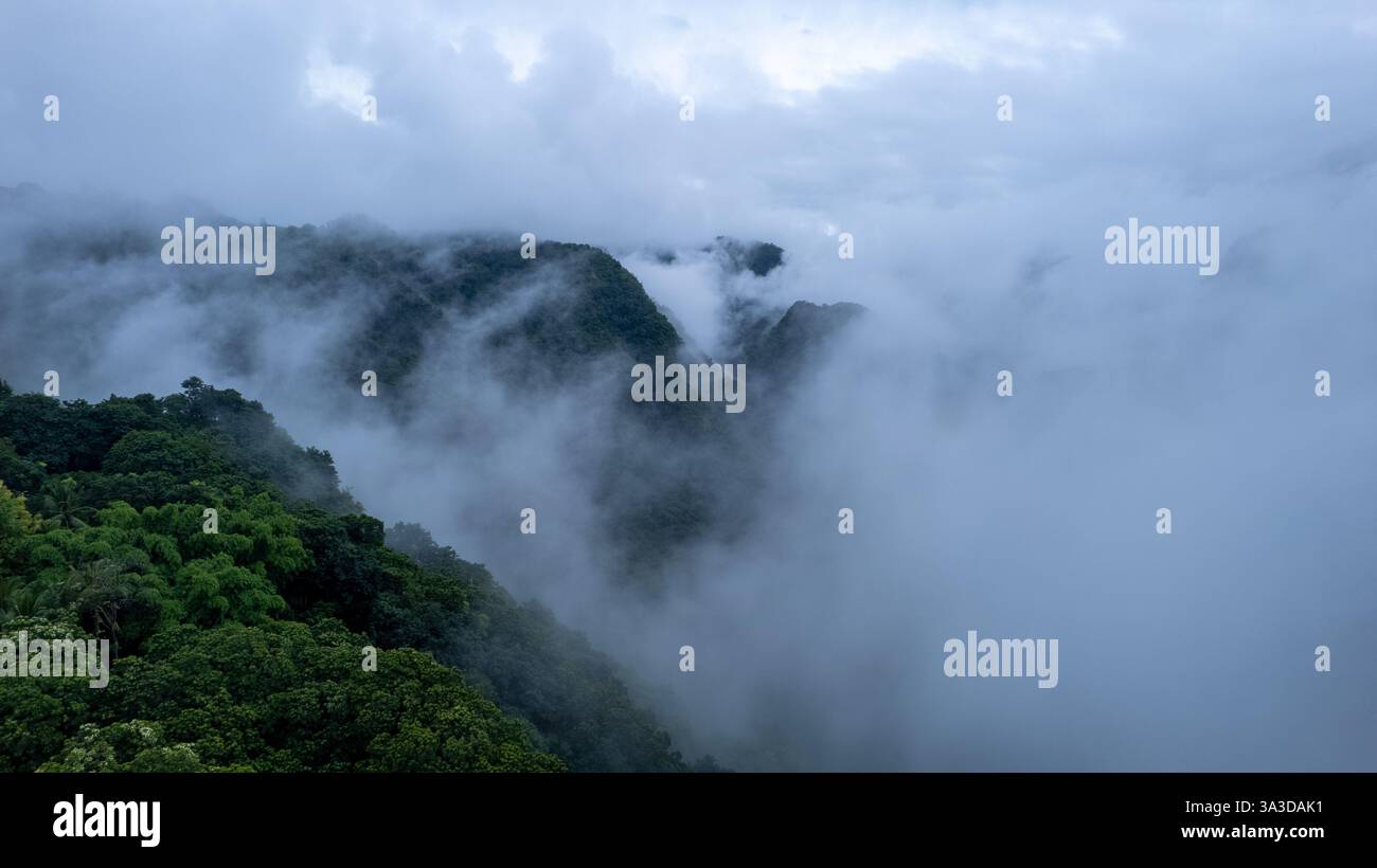 Green hills dense rainforest hi-res stock photography and images - Alamy
