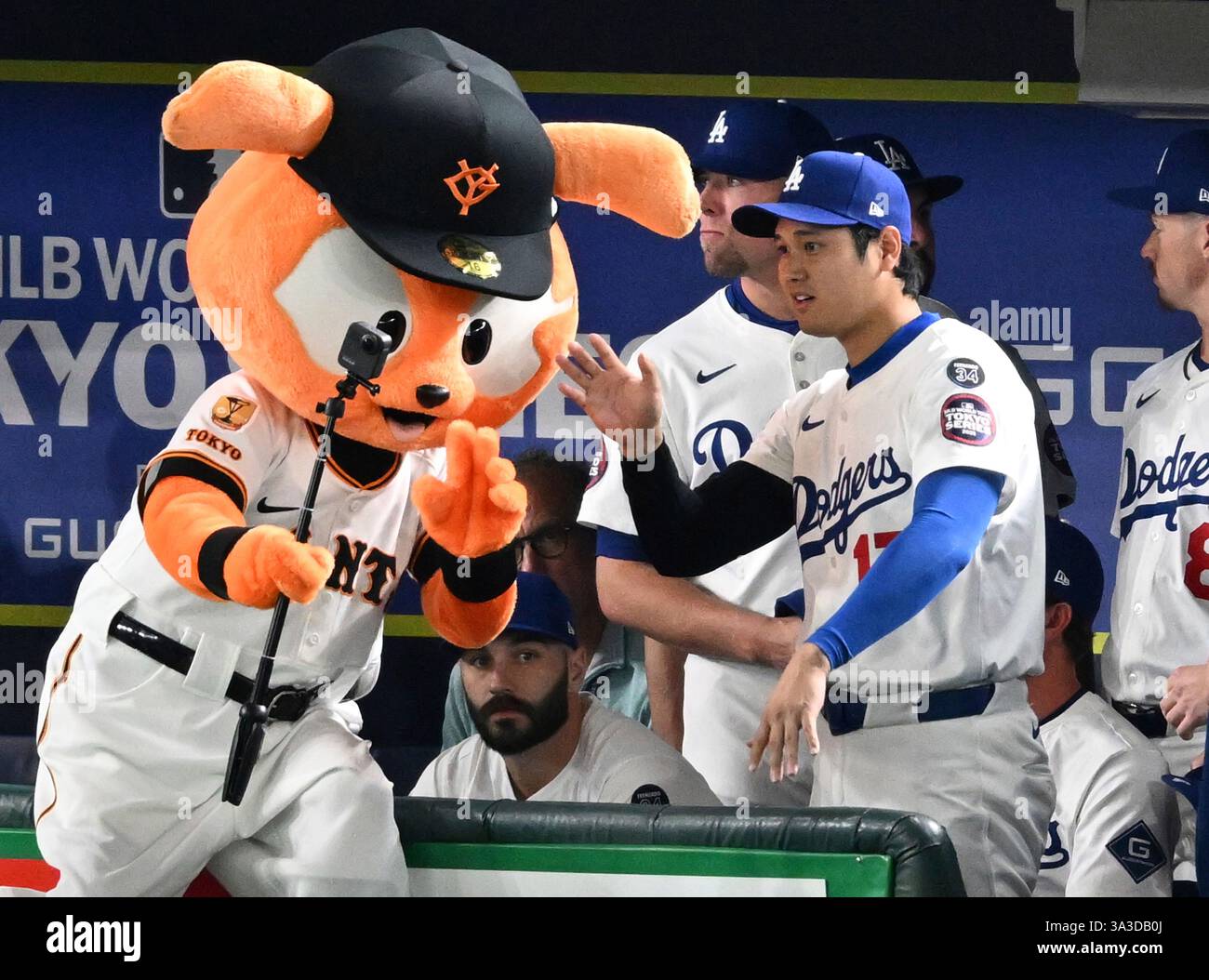Giabbit Los Angeles Dodgers' Shohei Ohtani (R) and Yomiuri Giants' mascot ...