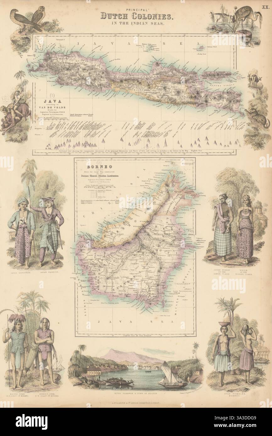 Principal Dutch Colonies in the Indian Seas. Java & Borneo. Indonesia ...